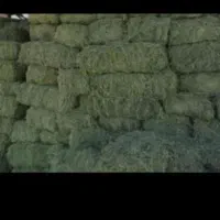 فروش یونجه درجه یک و کاه سفید