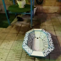 حوض 8ضلعی