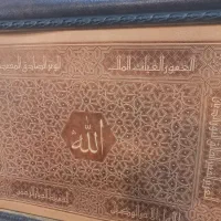 تابلو  پوست چرمی