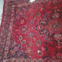 زینتی|فرش|مشهد, گلشور|دیوار