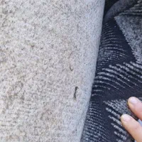 موکت پارس رول کامل آکبند