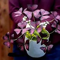 احیای کامل گیاهان در محل از تعویض خاک تا رفع آفات