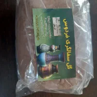 فروش گل سفالگری