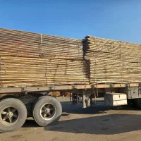 فروش چوب نراد روسی الوار و تخته