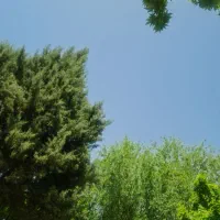 باغ سرحال در سامن