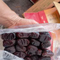 ضایعات خرما