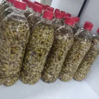 قوره شور درجه یک ترد وتازه کاشمر