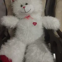 خرس بزرگ