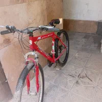 دوچرخه ۲۴