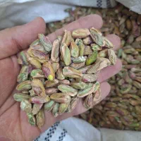 مغز پسته کال