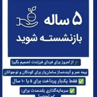 پرداخت یکجا حق بیمه و مستمری مادامالعمر
