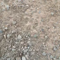 هندوانه