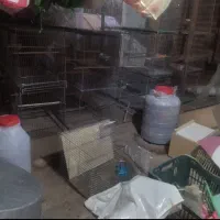 قفس جوجه پران وزینتی