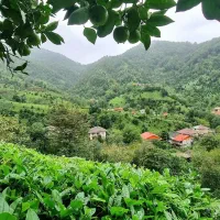 اجاره-سوئیت-لب-رودخانه-تو-دل-روستا