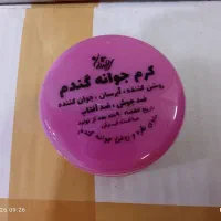 کرم معجزه آبرسان جوانه گندم