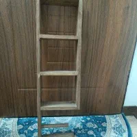 شلف کافه بار