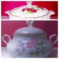 ۲ عدد سوپنیک گل سرخی   و  ۲ عدد سوپنیک ایتالیایی
