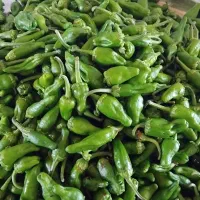 فلفل ریز ودرشت باآب چاه  سالم روستای پهن آباد