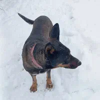 گم شده محدوده ایزی