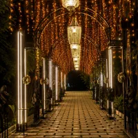 ریسه led|ریسه و چراغ تزئینی|تهران, لاله زار|دیوار