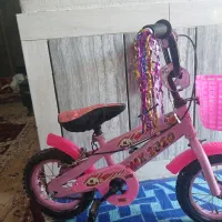 دوچرخه  ۱۲ صورتی