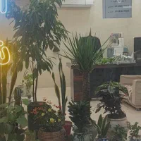 مغازه-22-متری-انتهای-ملک-خیابان-قدوسی