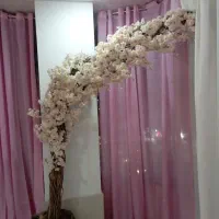درختچه شکوفه ژاپنی با گلدان