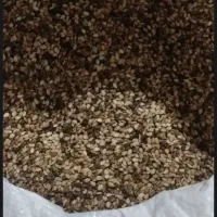 کنجد