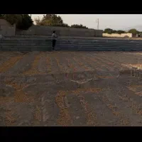 زمین باغی چسب بافت شهری