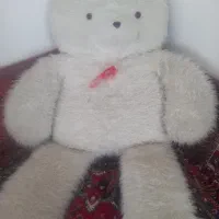 خرس سفید بزرگ