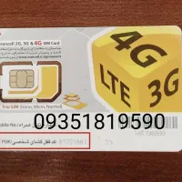 09351819590