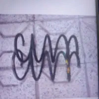 فنرلول۴۰۵ وسمند