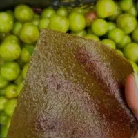 فروش آلوچه مخصوص لواشک