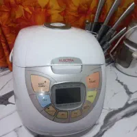 پلوپز ، آرام پز، بخارپز ۱۰ نفره الکترون اصل