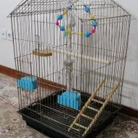قفس 1033 طلایی آکبند ( طوطی. کاسکو. عروس هلندی)