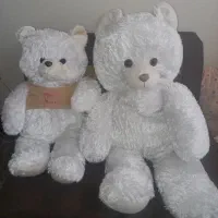 خرس  عروسکی