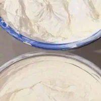 کرم معجزه کیلویی بشرط