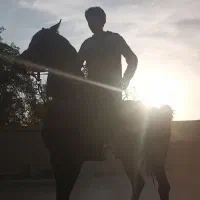 سواری کردن اسب