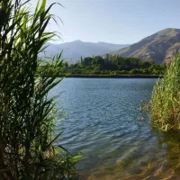 خانه ویلایی