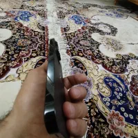 آیفون ۱۴ پرو ریجستر