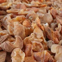 برگه زردآلو  کشته توت