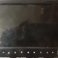 فروش مانیتور