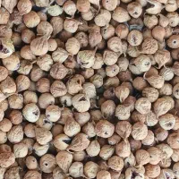 انجیر استهبانات