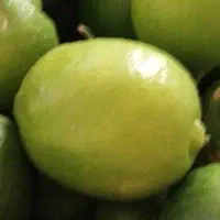 لیمو درجه یک