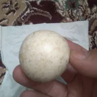 سنگ شب نماگبری