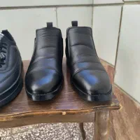 کفش|کیف، کفش، کمربند|لردگان, |دیوار