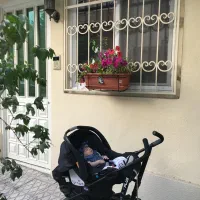 کالسکه کریر و رورک