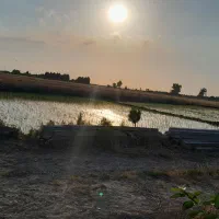 زمین فروشی در قدس ۴