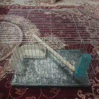 فروش قفس چند عدد
