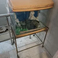 آکواریم و جرثقیل زنجیری
